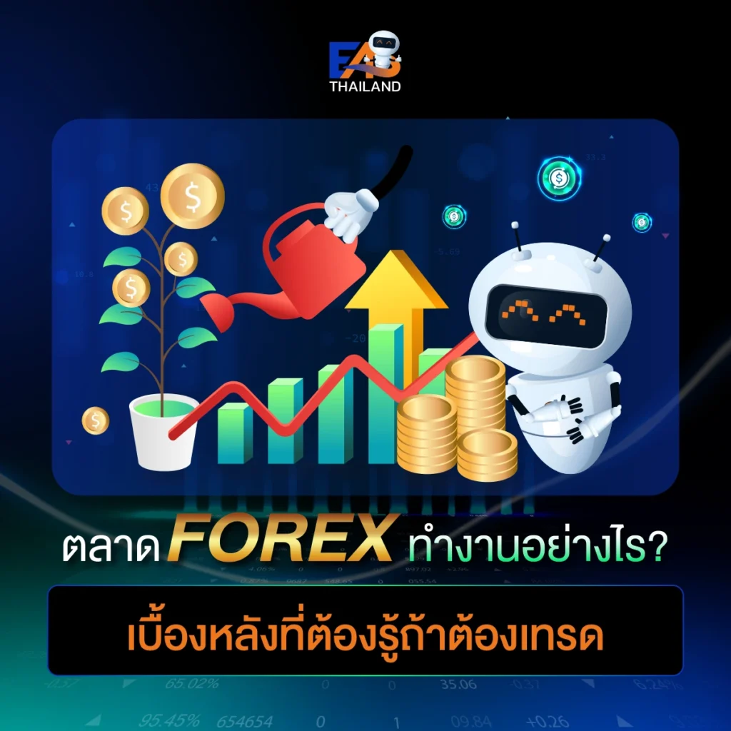 ตลาด Forex ทำงานอย่างไร?