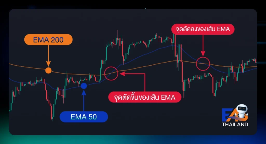 จุดตัดเส้น EMA
